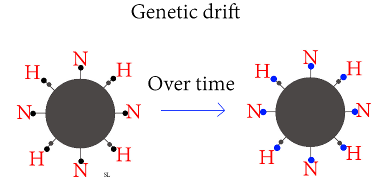 figure 1 genetic drift